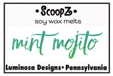 Load image into Gallery viewer, Mint Mojito