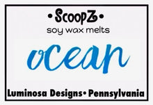 Load image into Gallery viewer, Ocean