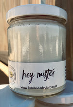 Load image into Gallery viewer, Hey Mister