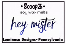 Load image into Gallery viewer, Hey Mister